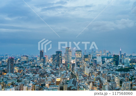 日本の首都東京の夜景 日本の首都東京の夜景 117568060