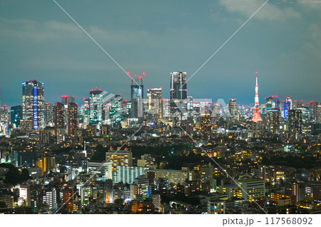 日本の首都東京の夜景 日本の首都東京の夜景 117568092