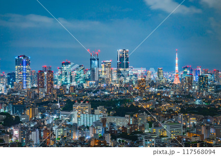 日本の首都東京の夜景 117568094