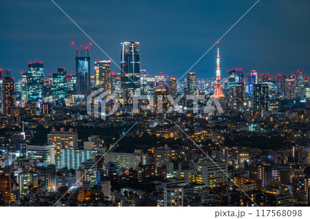 日本の首都東京の夜景 日本の首都東京の夜景 117568098