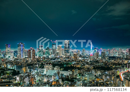 日本の首都東京の夜景 117568134