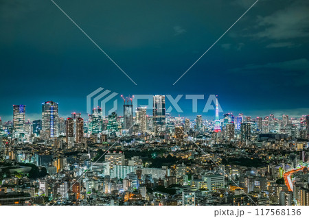 日本の首都東京の夜景 117568136
