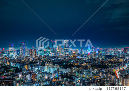 日本の首都東京の夜景 日本の首都東京の夜景 117568137
