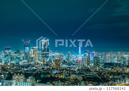 日本の首都東京の夜景 日本の首都東京の夜景 117568142