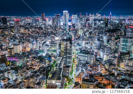 日本の首都東京の夜景 117568158