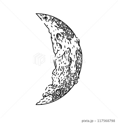 lunar moon sketch hand drawn vector lunar moon sketch hand drawn vector 117568798