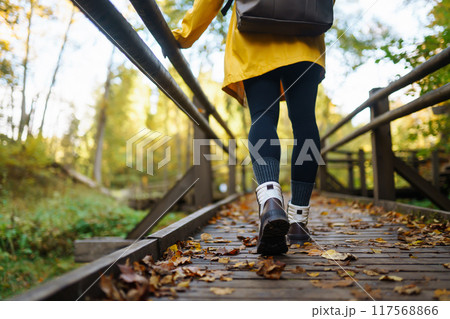 Women's feet in boots go along a wooden walking path in the autumn forest. 117568866