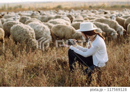 Young woman with a camera in front of a herd of sheep. Nature, fashion, vacation and lifestyle. 117569128