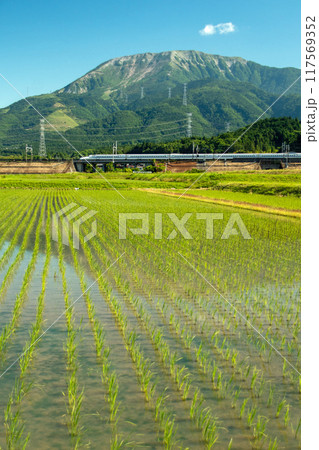 晴天の下、春の伊吹山麓を走る東海道新幹線N700A 117569352