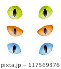 水彩風な猫の目のイラスト 117569376