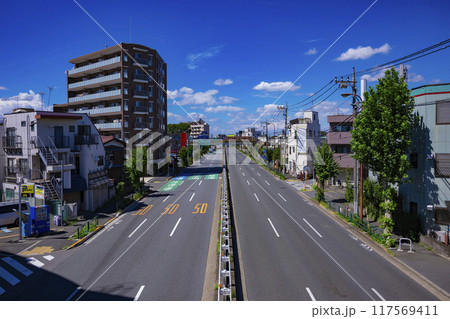 無人の目白通り 117569411