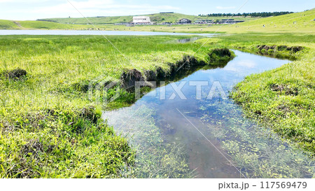 草原と小川の風景 117569479