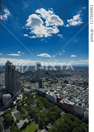 都庁から西南西の展望 パークハイアット東京など 都庁から西南西の展望 パークハイアット東京など 117569961