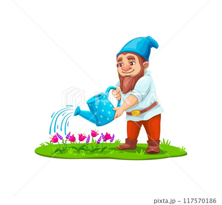 Cartoon gnome dwarf character watering flowers in garden, vector fairy tale personage. Gnome man gardener or little dwarf farmer character watering flowers on meadow of fairytale village for kids game 117570186