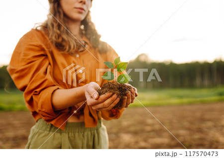 A young plant in hands of woman farmer against background of agricultural field. Organic gardening 117570473