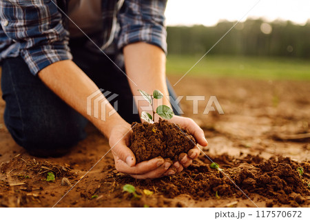 A man holds a green plant in his hands. Growing food. Agriculture concept. A man holds a green plant in his hands. Growing food. Agriculture concept. 117570672