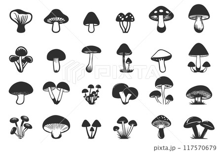 Forest mushrooms icons set. Autumn plant. Healthy food. Nature design element for menu logo recipe decoration. Simple black and white flat style isolated vector clipart collection 117570679