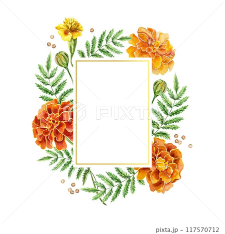 Marigolds watercolor frame for text. Hand drawn illustration isolated on white. Birthday, Diwali greeting cards, wedding invitations, covers, labels. 117570712