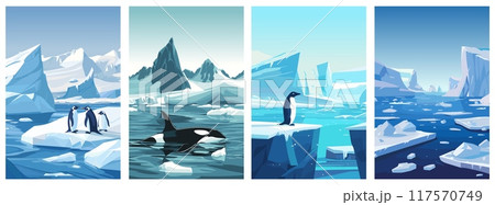 Arctic ice landscape posters set. Cold water, broken ice floting on foreground. Pinguins in a group orca swimming. North nature background beauty. Flat cartoon vector minimalism style 117570749