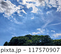 空と森 117570907
