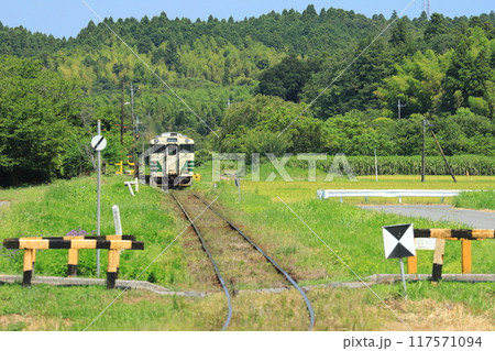小湊鐵道「上総川間駅停車中の列車と夏のローカル風景」 小湊鐵道「上総川間駅停車中の列車と夏のローカル風景」 117571094