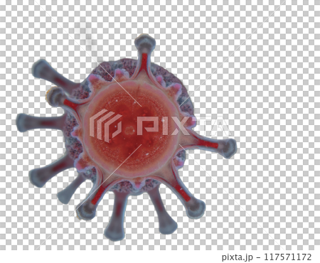spherical spiral virus on the alpha isolated transparent background 117571172