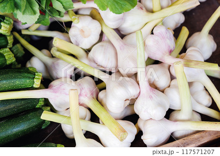 Close-up detail view pile many fresh young green white local farmer's garlic bulbs street market retail counter on sunny day. Local domestic organic plant vegetables at store. Sustainable agriculture Close-up detail view pile many fresh young green white local farmer's garlic bulbs street market retail counter on sunny day. Local domestic organic plant vegetables at store. Sustainable agriculture 117571207