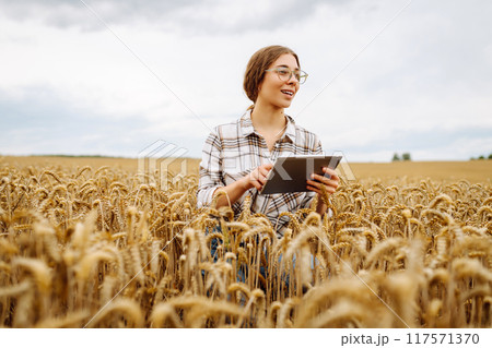 A young female agronomist with a modern tablet checks the quality. Gardening concept, harvesting. A young female agronomist with a modern tablet checks the quality. Gardening concept, harvesting. 117571370