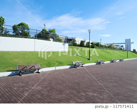 豊洲ぐるりパークから見る豊洲市場 豊洲ぐるりパークから見る豊洲市場 117571411