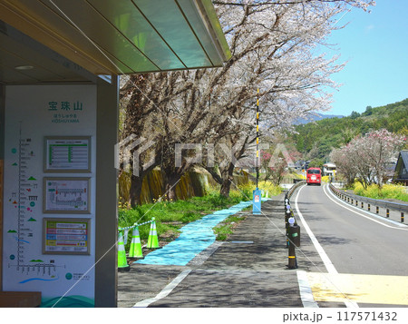 福岡県朝倉郡東峰村の日田彦山線BRT宝珠山駅桜咲くバス停 117571432
