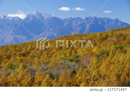 秋の美し森から望む南アルプス・甲斐駒ヶ岳 117571497