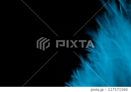 White texture abstract on black background, bird feather, dark background, cold light 117571560