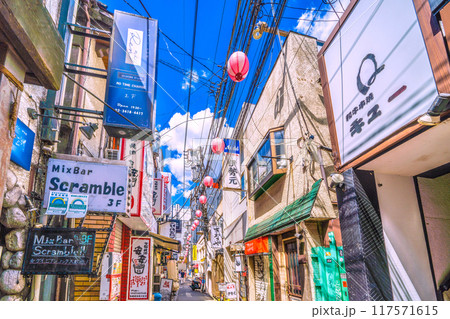日本の東京都市景観 8月。三軒茶屋駅すぐの飲み屋街「すずらん通」などを望む 日本の東京都市景観 8月。三軒茶屋駅すぐの飲み屋街「すずらん通」などを望む 117571615