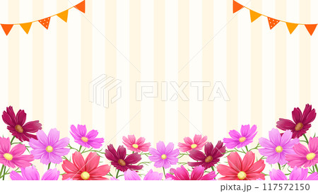 秋のイベント背景　コスモスとストライプ模様　16:9 117572150