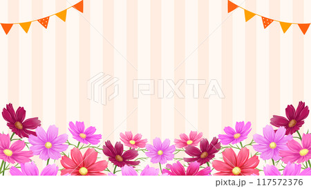 秋のイベント背景　コスモスとストライプ模様　16:9 117572376