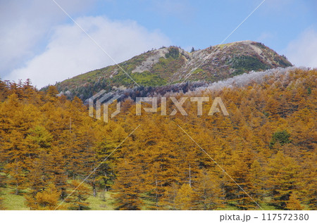浅間連峰・篭ノ登山の唐松の紅葉と霧氷 浅間連峰・篭ノ登山の唐松の紅葉と霧氷 117572380