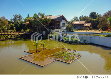 Brasilia Botanical Garden in Brasilia, Brazil, at sunny dat. Jardim Botanico 117572743