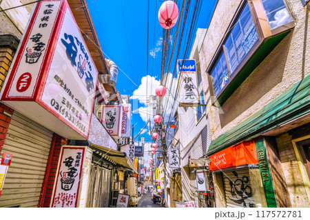 日本の東京都市景観 8月。三軒茶屋駅すぐの飲み屋街「すずらん通」などを望む 日本の東京都市景観 8月。三軒茶屋駅すぐの飲み屋街「すずらん通」などを望む 117572781