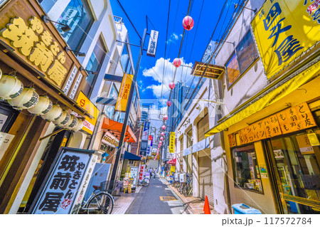 日本の東京都市景観 8月。三軒茶屋駅すぐの飲み屋街「すずらん通」などを望む 日本の東京都市景観 8月。三軒茶屋駅すぐの飲み屋街「すずらん通」などを望む 117572784