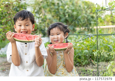 すいかを食べる子供 すいかを食べる子供 117572979