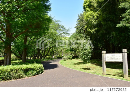 藤沢市　大庭城址公園の散策路と新緑と案内板 117572985