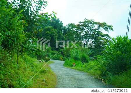 Sikkim Village road at East Sikkim 117573051