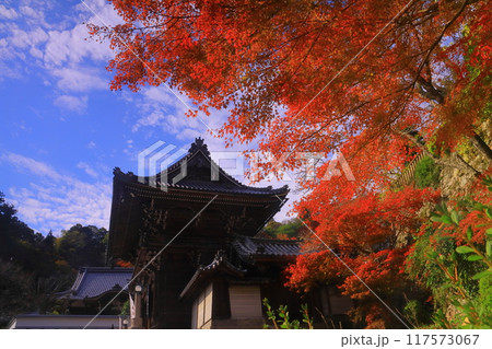 長谷寺(奈良県桜井市)仁王門前の紅葉 長谷寺(奈良県桜井市)仁王門前の紅葉 117573067