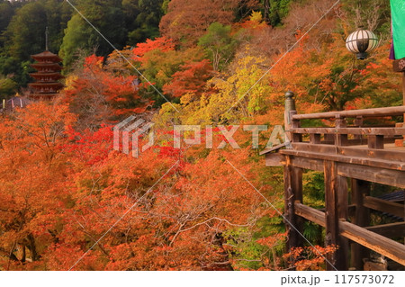 長谷寺（奈良県桜井市）本堂から見る五重塔前庭園の紅葉 117573072