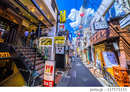 日本の東京都市景観 8月。三軒茶屋駅すぐの飲み屋街「すずらん通」などを望む 117573133
