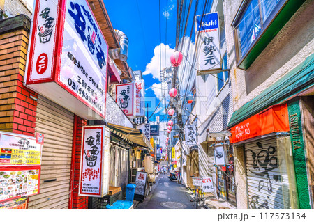 日本の東京都市景観 8月。三軒茶屋駅すぐの飲み屋街「すずらん通」などを望む 117573134