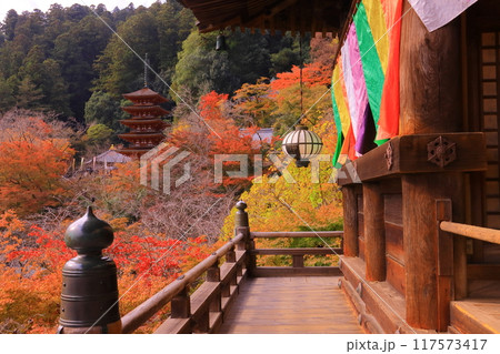 長谷寺（奈良県桜井市）本堂から見る五重塔前庭園の紅葉 117573417