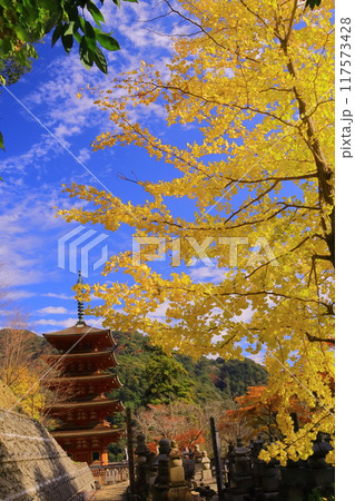 長谷寺(奈良県桜井市)五重塔前の紅葉 長谷寺(奈良県桜井市)五重塔前の紅葉 117573428