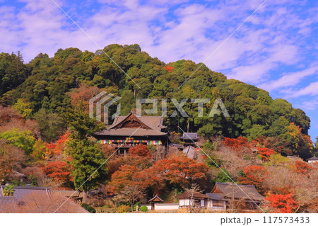 長谷寺(奈良県桜井市)本堂周辺の紅葉 長谷寺(奈良県桜井市)本堂周辺の紅葉 117573433
