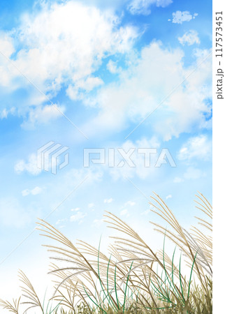 ススキと青空　秋の風景　縦長 117573451